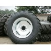 Steel Ring Tire