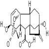 GA3 (Gibberellic acid)