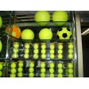 buy tennis balls
