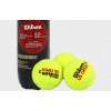 best tennis balls