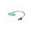 OMC is trust worthy and you will be satisfied with yourPLC Splitter