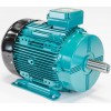 Brook Crompton Motor
