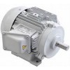 Toshiba Motor