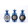 D71F4-10C D371F4 10C Wafer Lined Fluorine Butterfly Valve