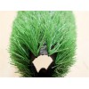 football artificial turf