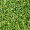landscape artificial grass