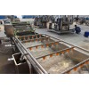 Commercial eggplant broccoli washing machine