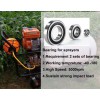 Deep groove ball Bearings for sprayers 6205 2RS C0 P5 HG03（-40~180℃）