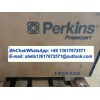 T405458 Perkins CYLINDER BLOCK ASSEMBLY,Perkins 1106 CYL Block,Engine Block,Perkins Engine Parts
