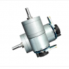 DC Worm Gear Motor