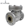 Class150  SS316 Swing non Check Valve price