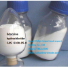 Linocaine hydrochloride CAS 6108-05-0