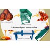 Palm oil extraction machine on sale