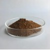 RHODIOLA ROSEA EXTRACT