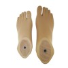 prosthetic orthopedic implants foot, sach foot, polyurethane foot-PFC