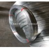 electro galvanized wire LANDYOUNG