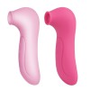 Suction CH05010