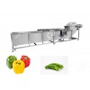 Pepper Chilli Washing Machine For Cleaning Dry Chilli Red Peppers