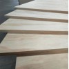 High Quality Pine Plywood