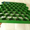 Flat Type PP/HDPE Plastic Grass Grid Paver