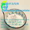 Ethyl 2-phenylacetoacetateEthyl 2-phenylacetoacetate CAS 5413/5/8
