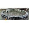 Slewing Bearing Ring