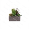 Puindo Green Artificial Decoration Potted Plant with Succulents flowers J5
