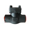 ASTM A105N Piston Check Valve