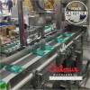 Case Packer Machine Pouch Cartoning Line for Packaging Doypacks