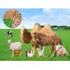 Animal Feed Mill Plant