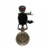 Triple Offset Butterfly Control Valve